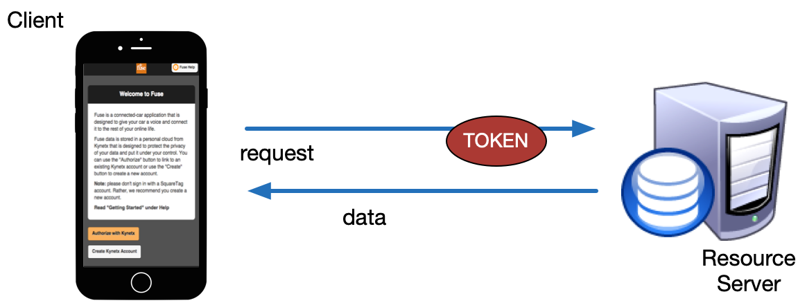 Using a token to request data from an API
